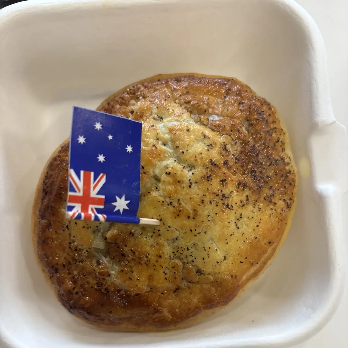 Peppered Steak Meat Pie