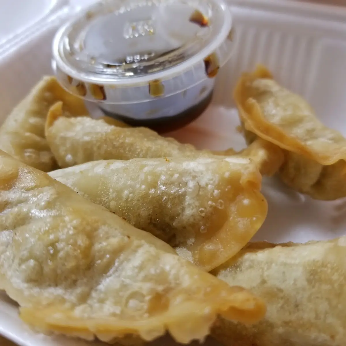 Fried Gyoza