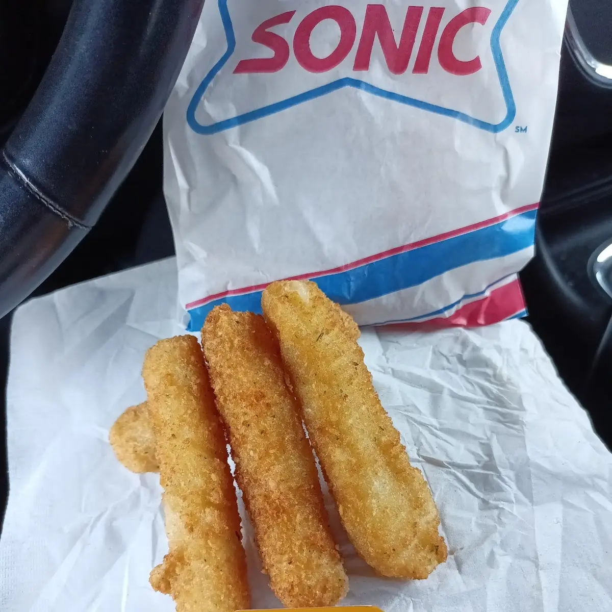 Mozzarella Cheese Sticks