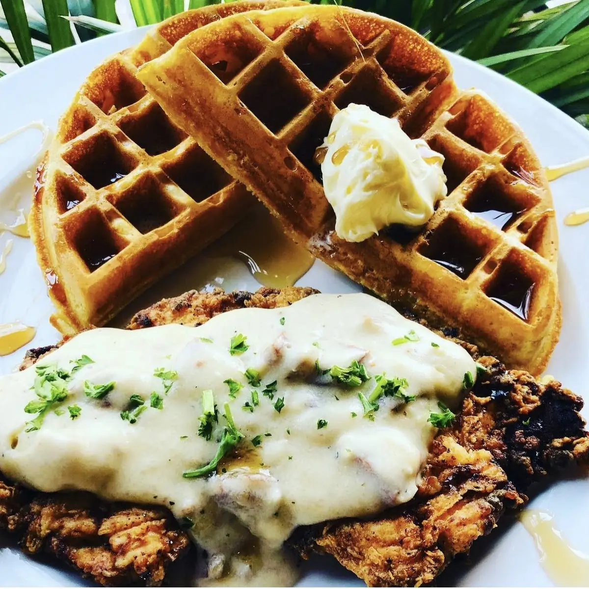 Chicken & Waffles