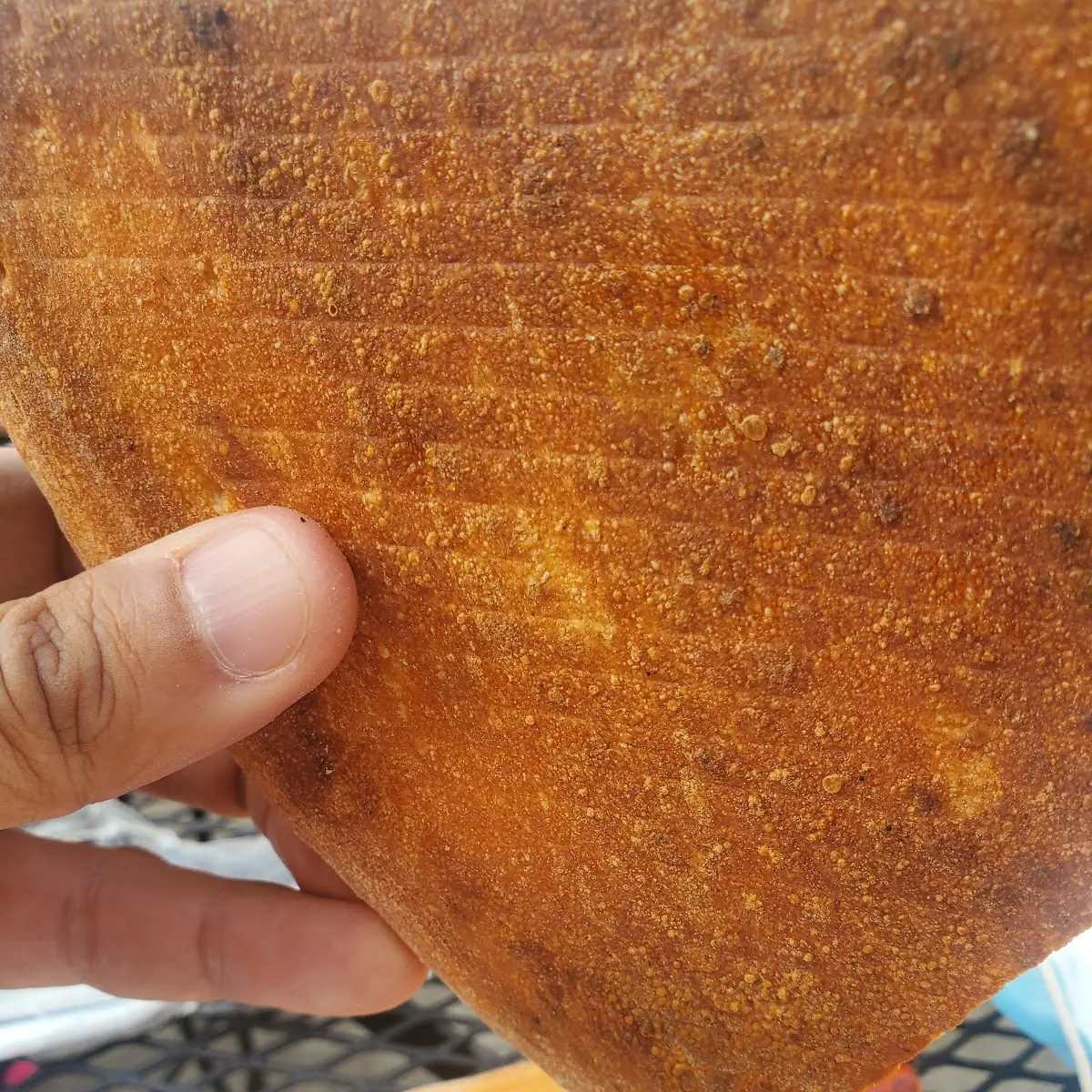 Pizza Crust