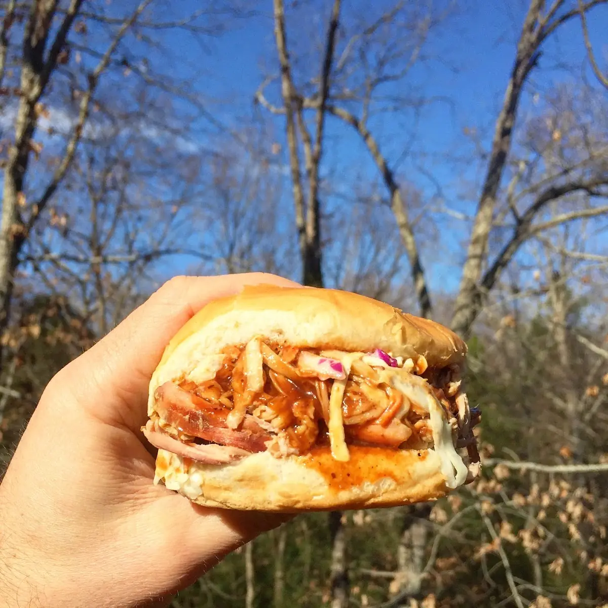 Pulled Pork