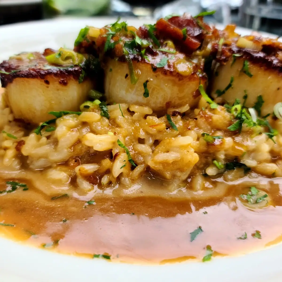 Sea Scallops