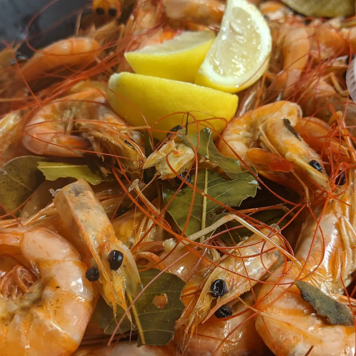 Boiled Shrimp