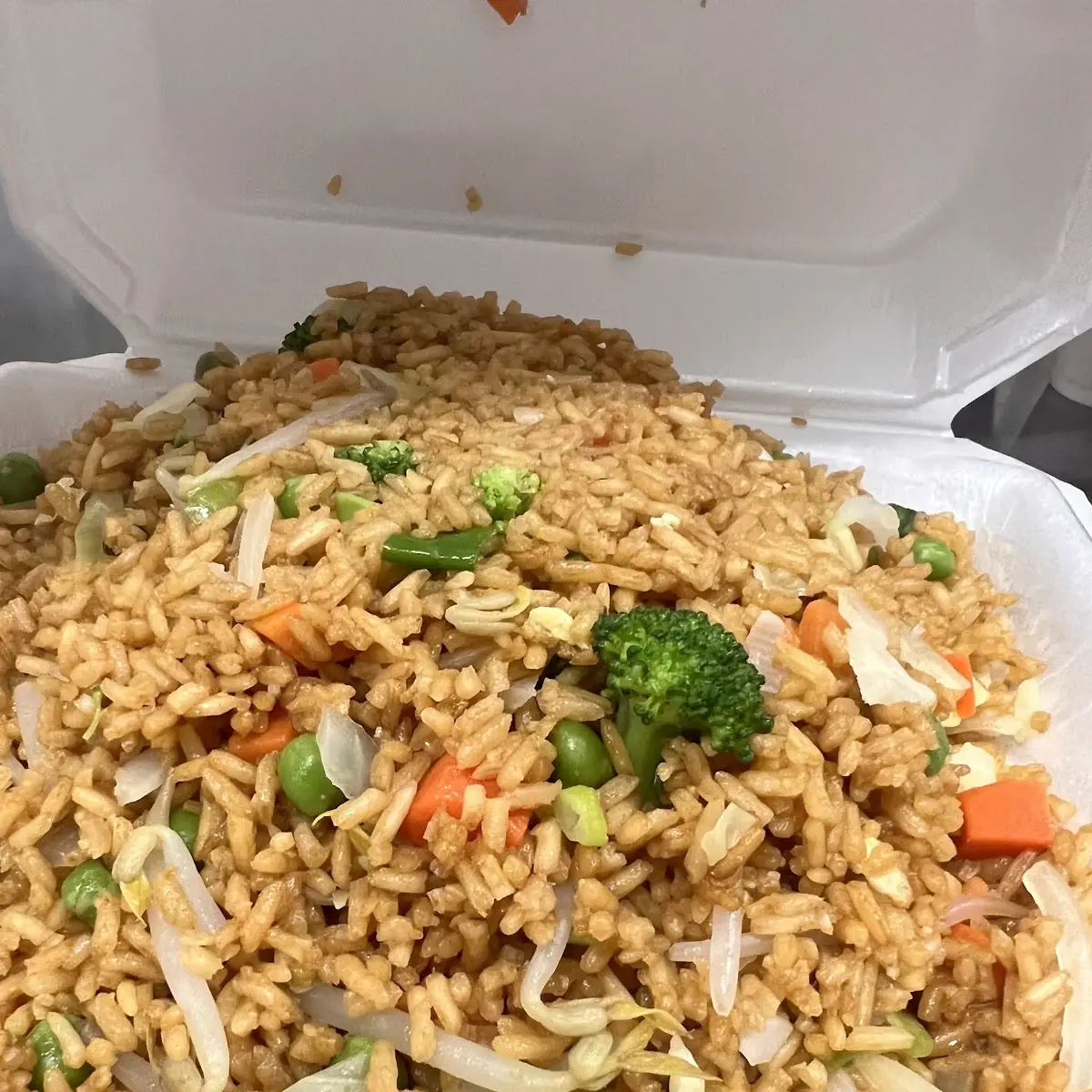 Veg Fried Rice