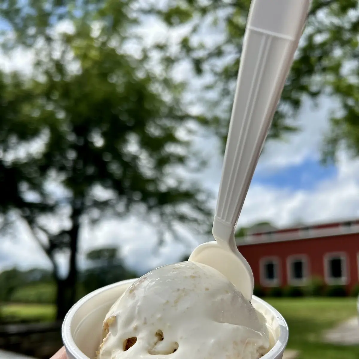 Gelato