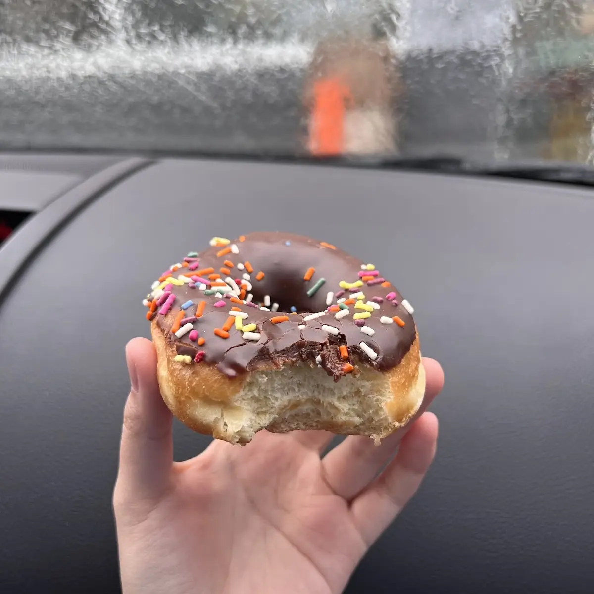 Doughnut