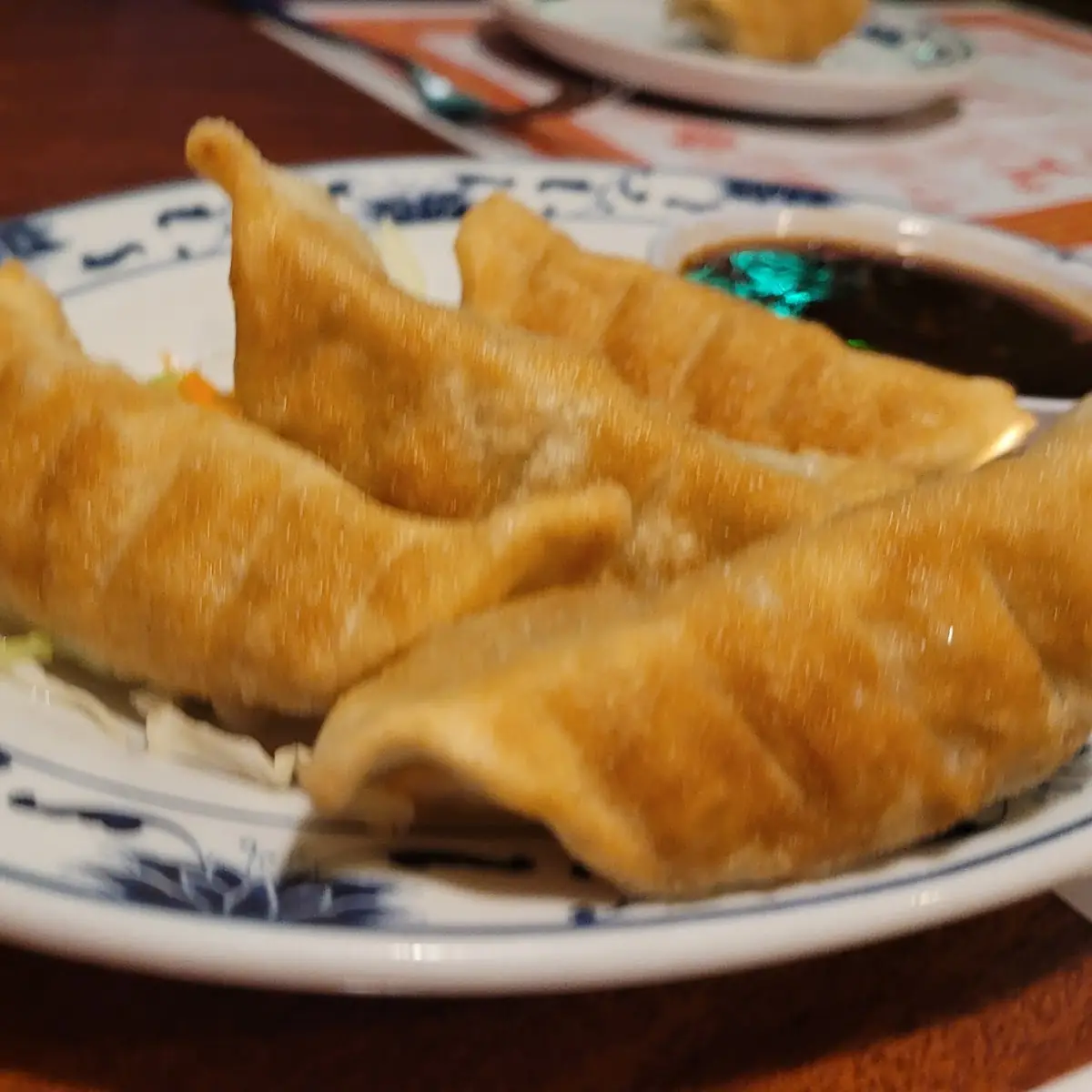 Pan Fried Dumplings