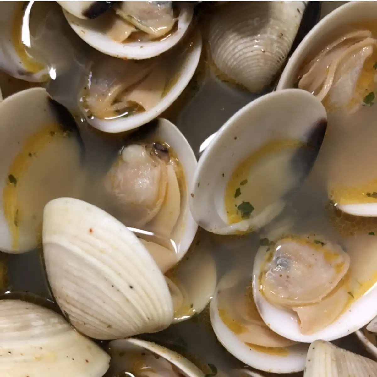 Steamed Clams