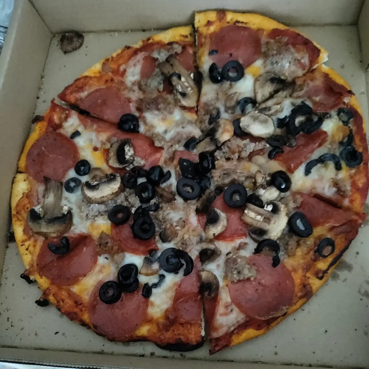Medium Salami and Olive Pizza