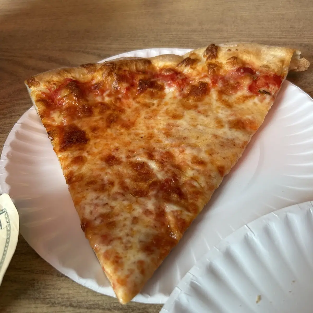 Plain Pizza