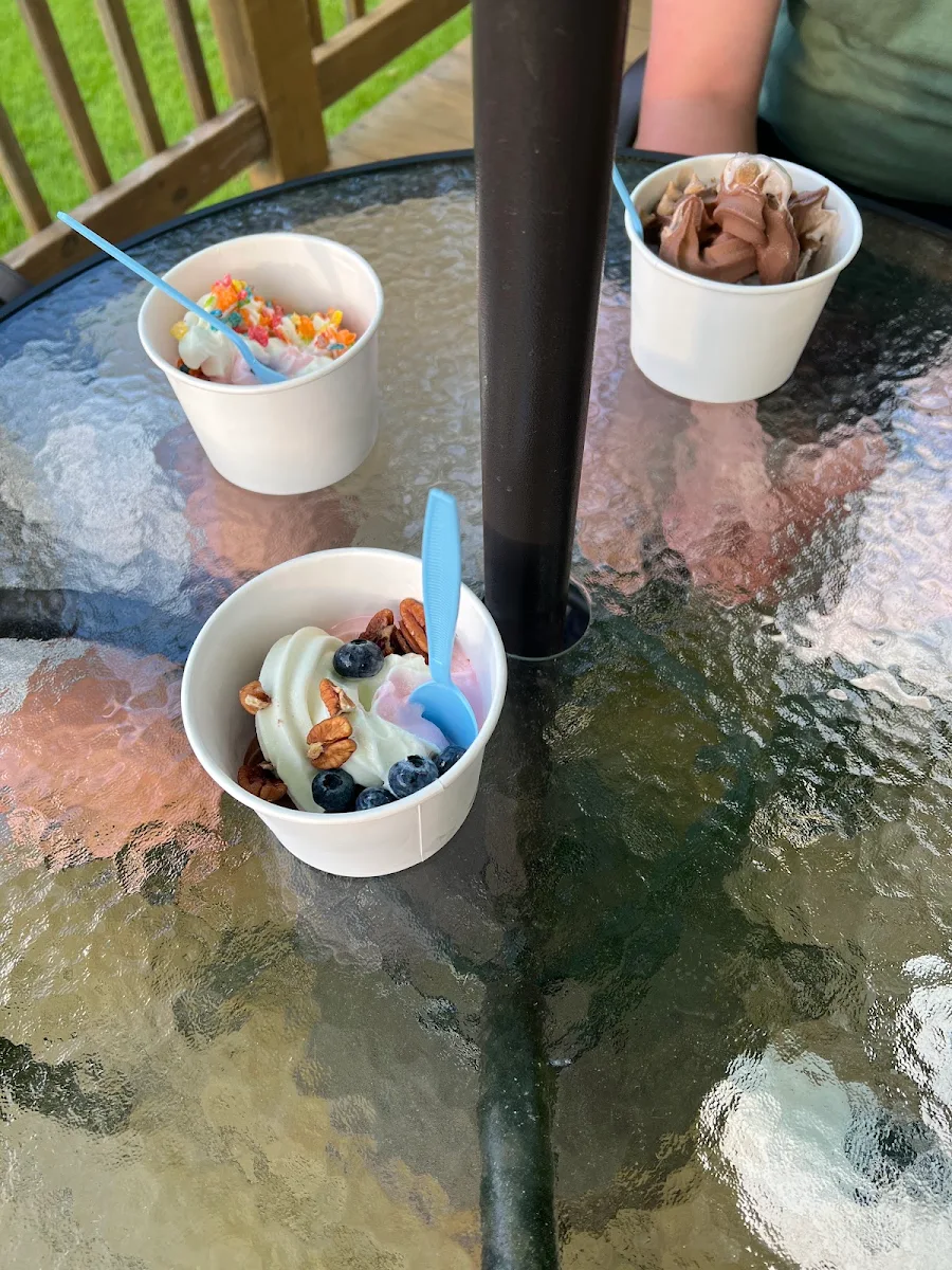 Yogurt No Sugar Added Neopolitan