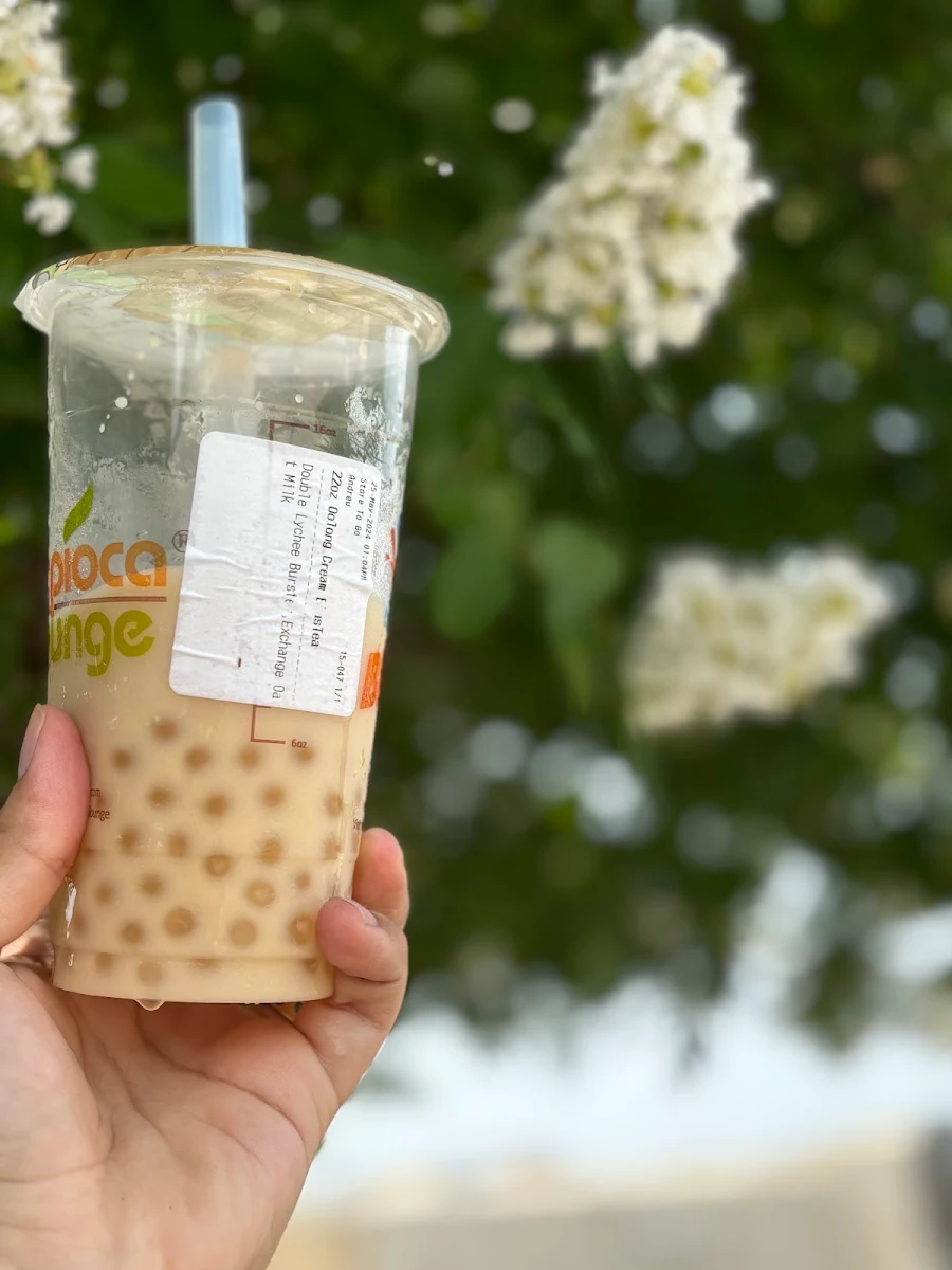 Oolong Tea