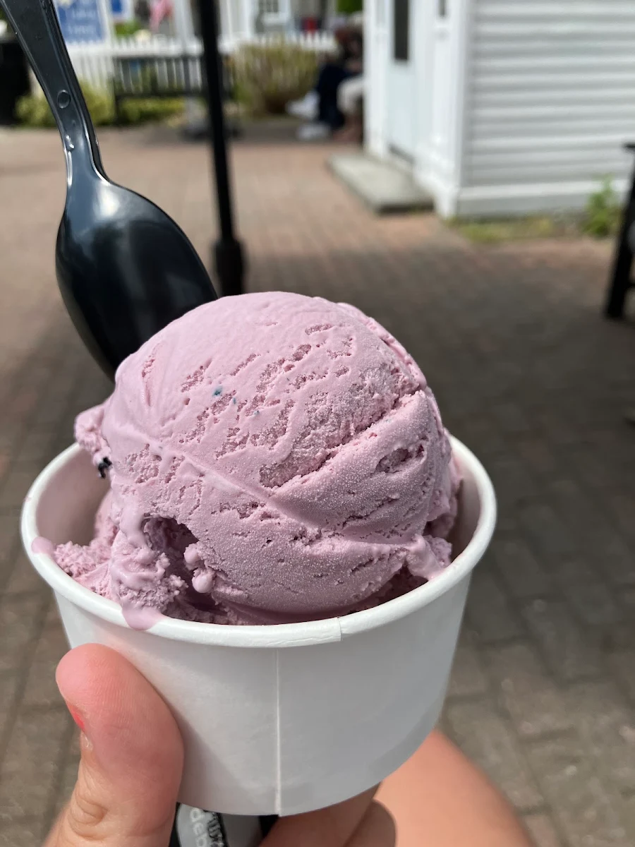 Black Raspberry Ice Cream