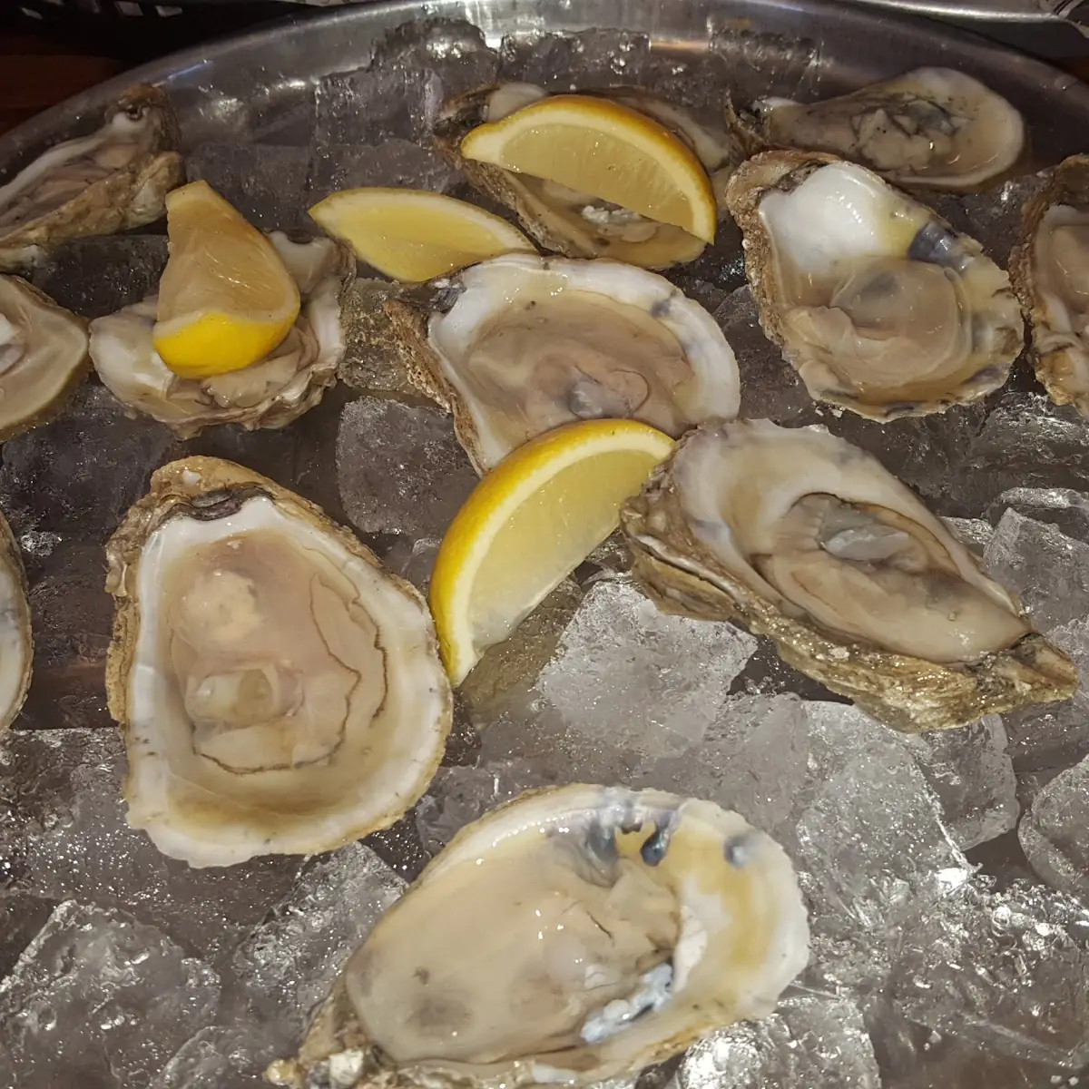 Oysters on the Half Shell