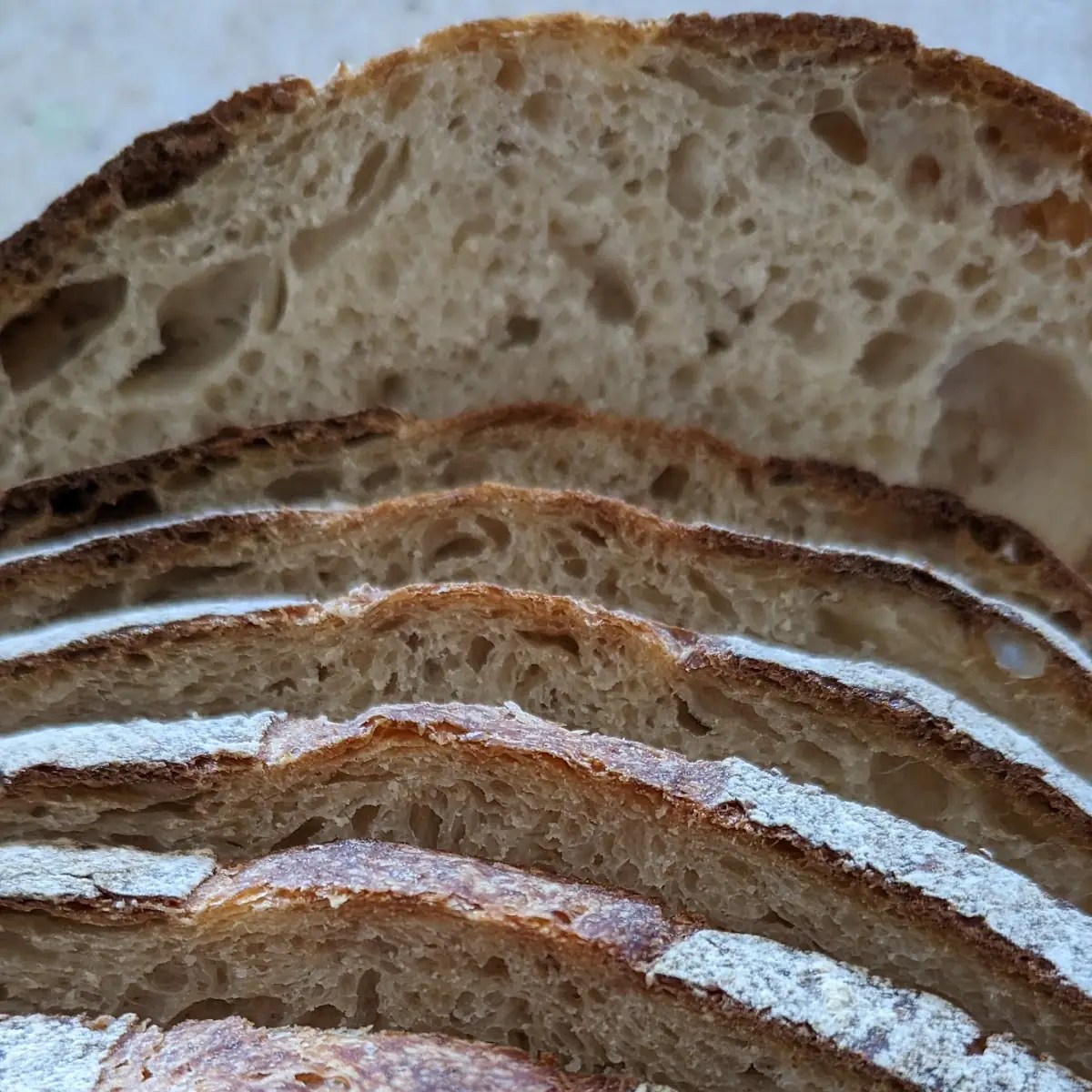 Sourdough Bread
