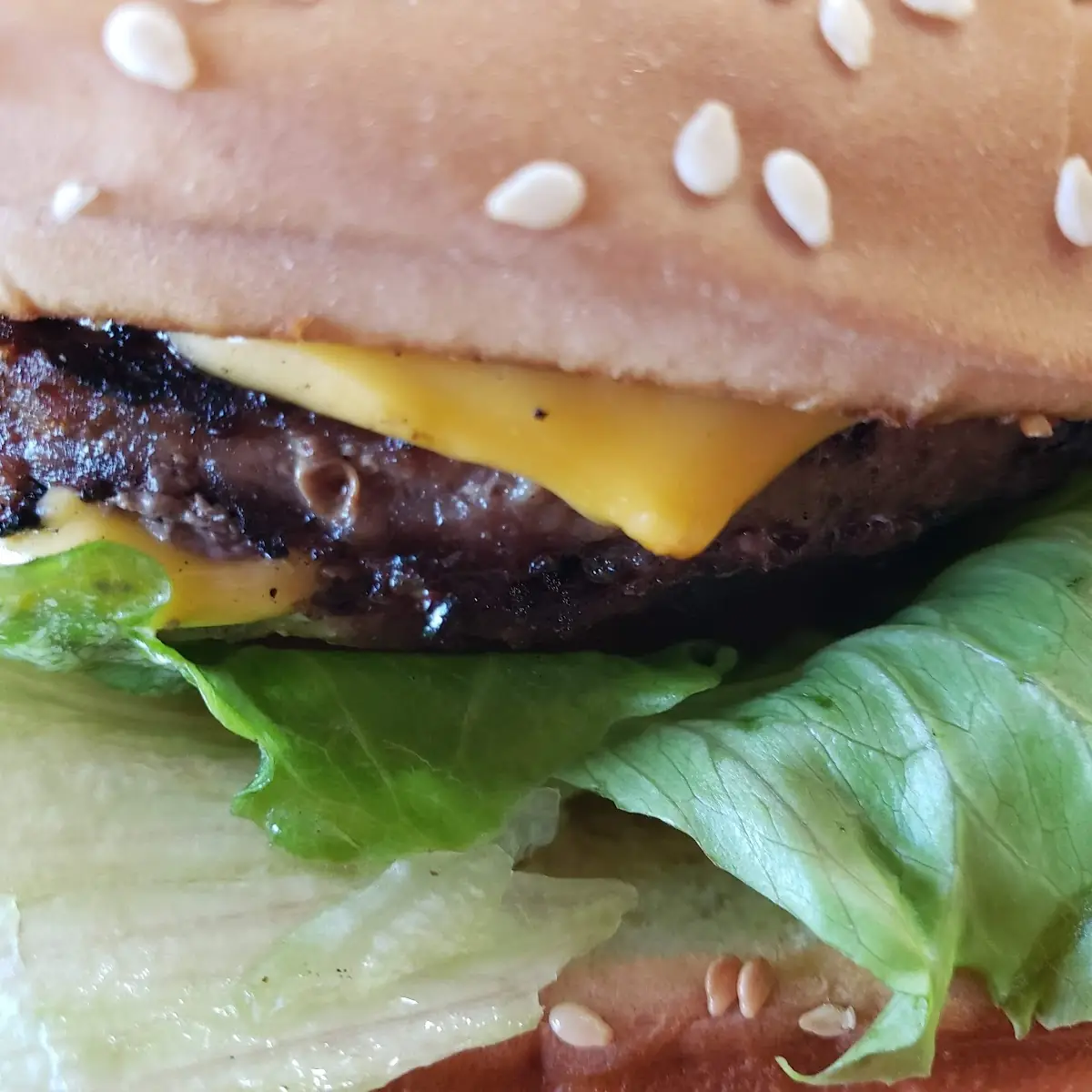 Double Cheeseburger