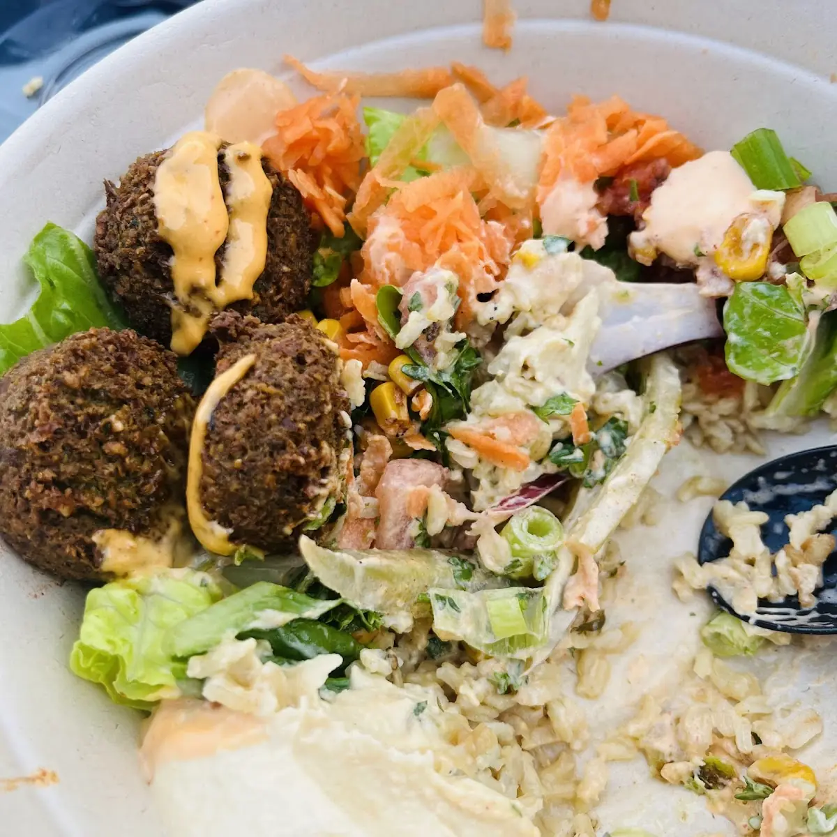 Falafel Plate