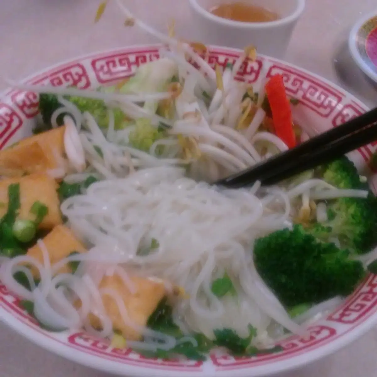 Pho Vegetable Noodle Soup Plus Tofu