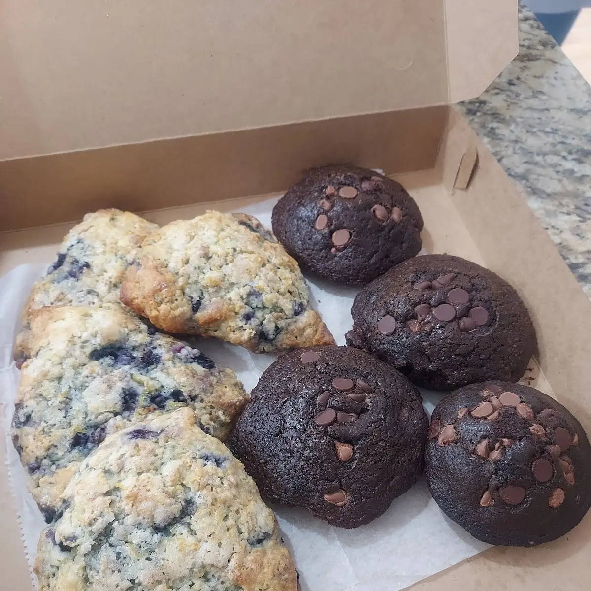 Blueberry Muffin