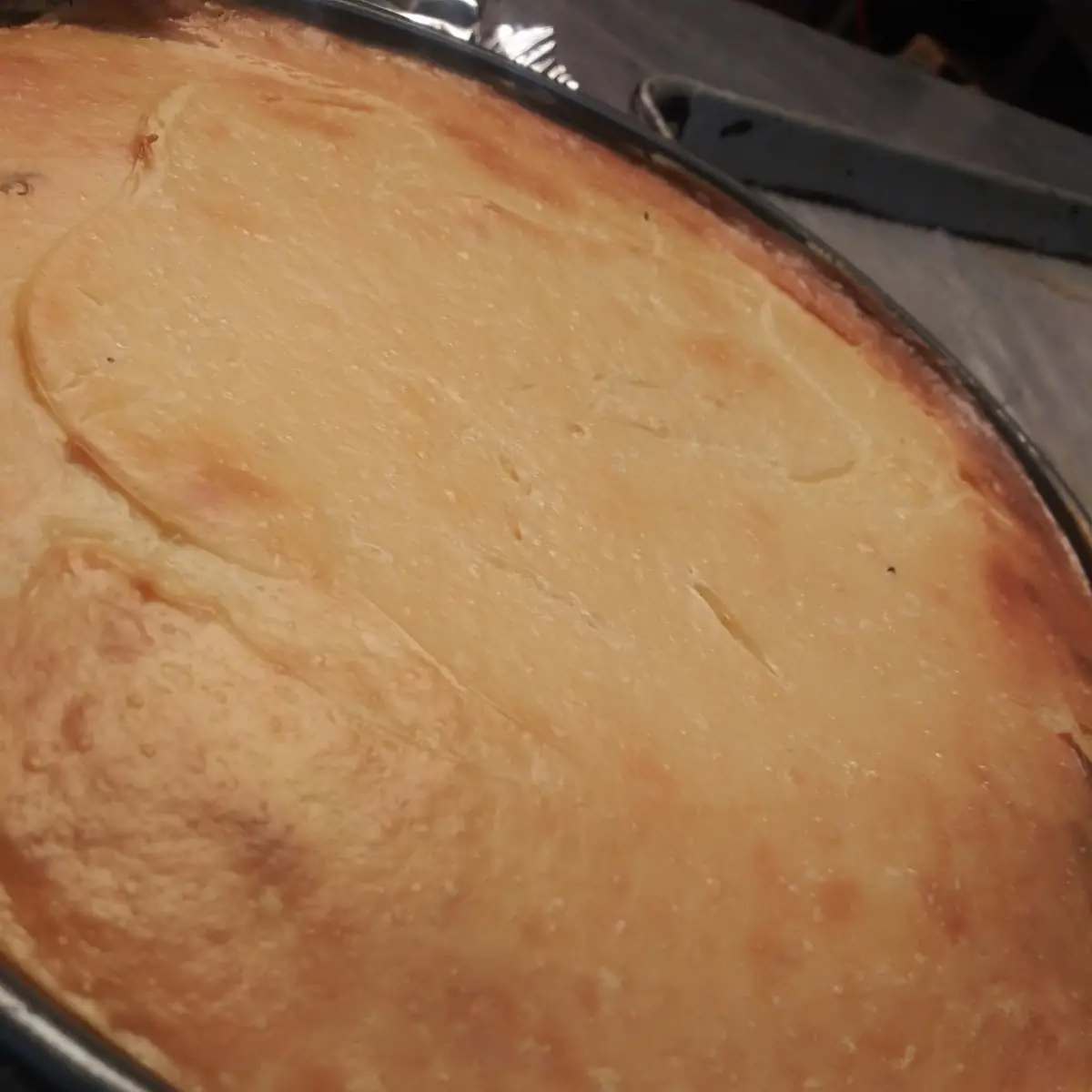 Cheese Cake
