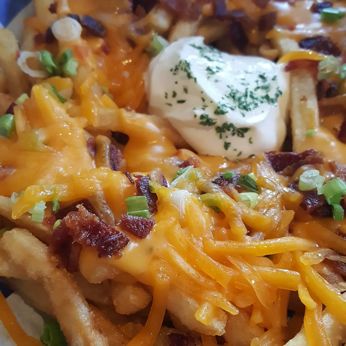 Loaded Fries