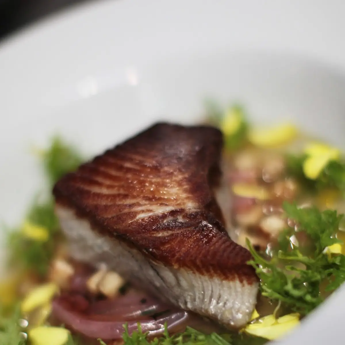 Ora King Salmon