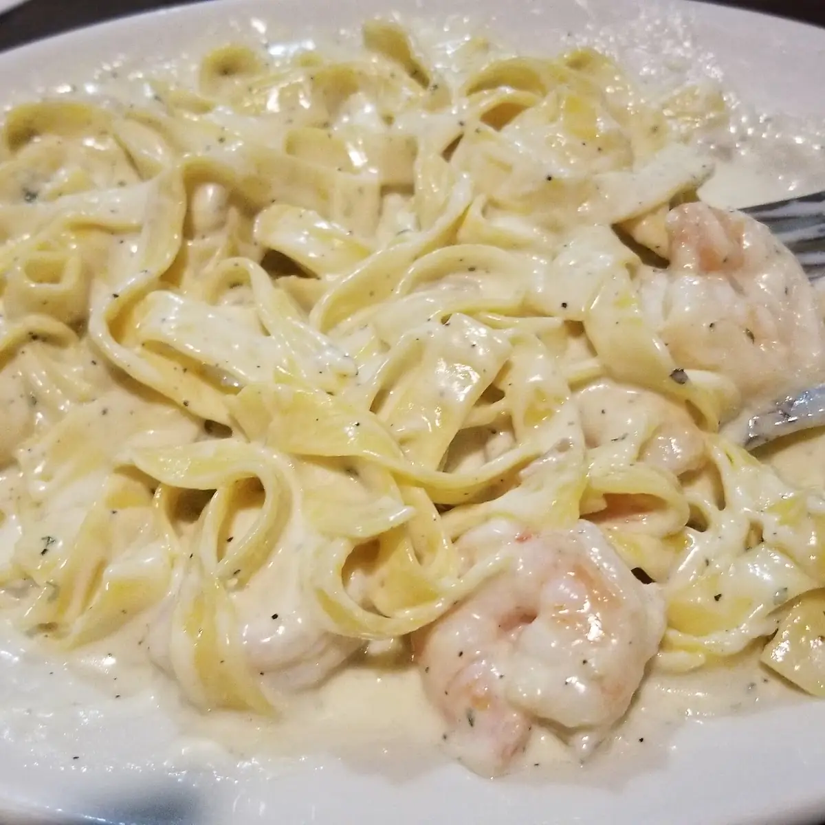 Shrimp Alfredo