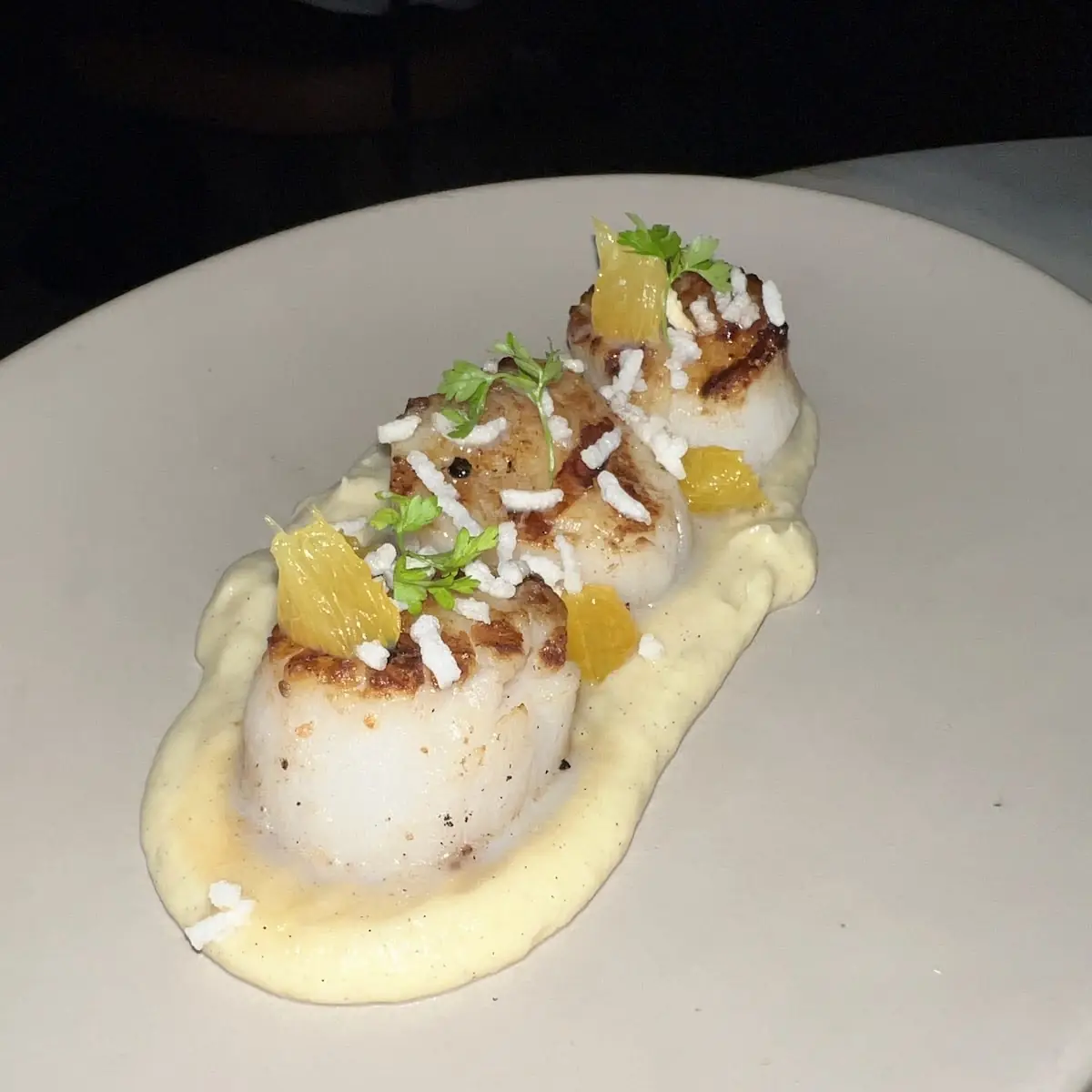 Grilled Maine Scallops