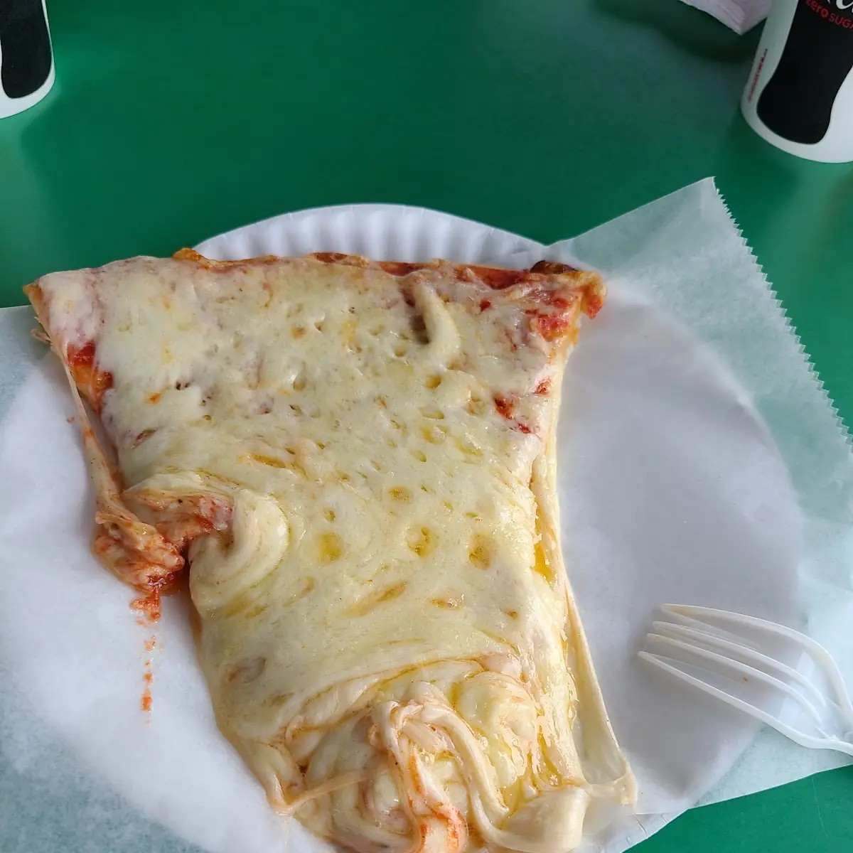 Extra Cheese Pizza