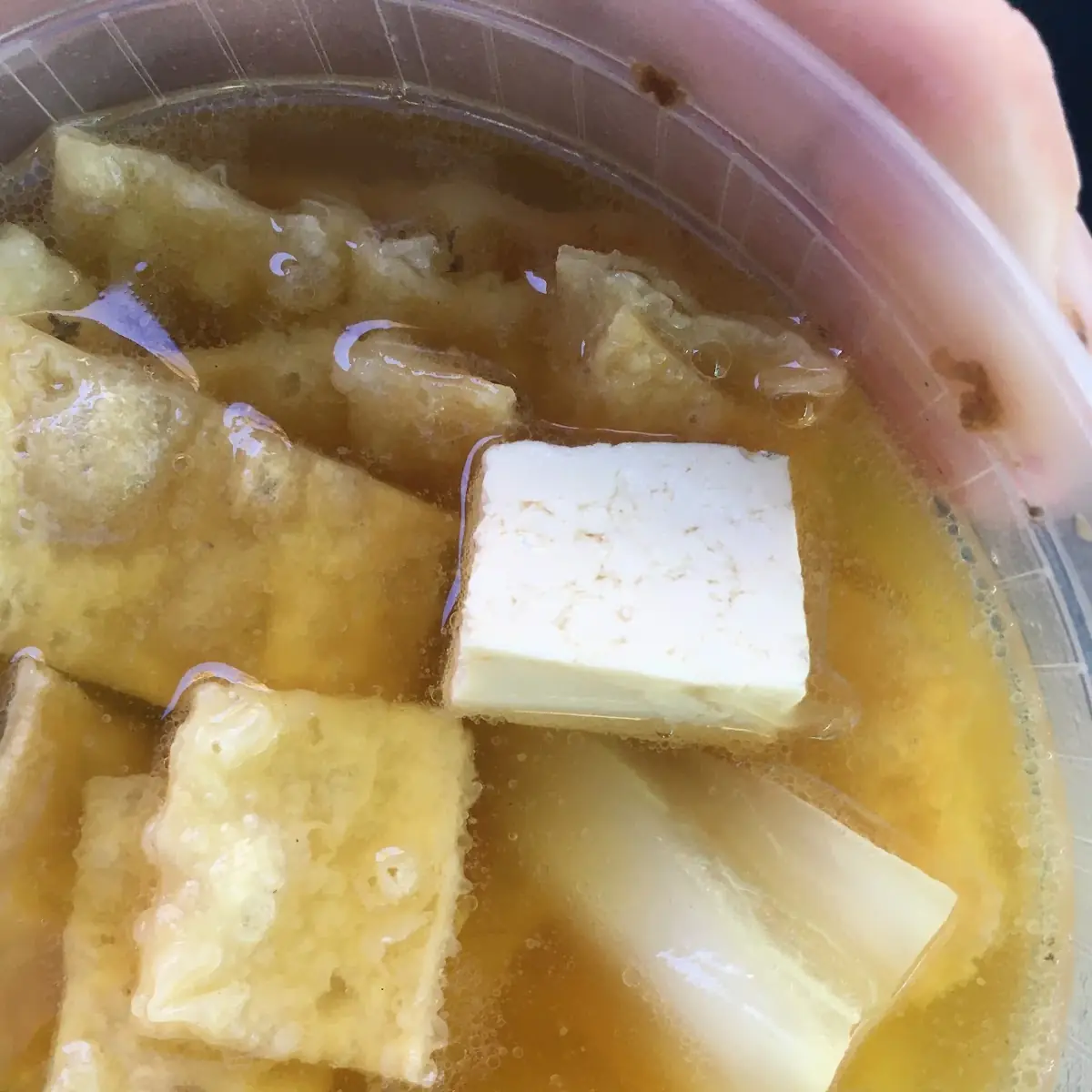 Homemade Bean Curd