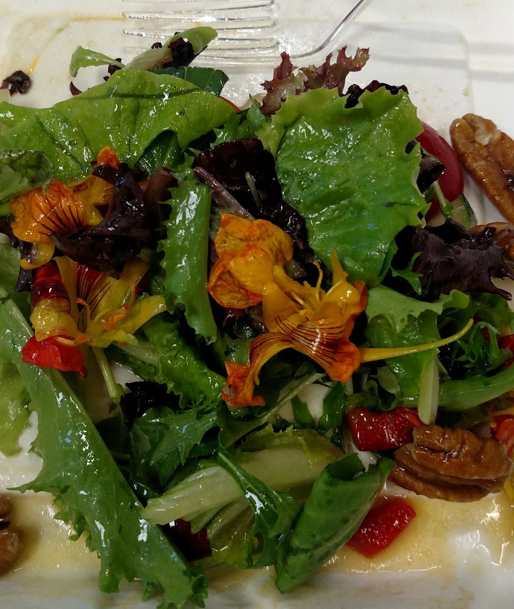 Garden Salad