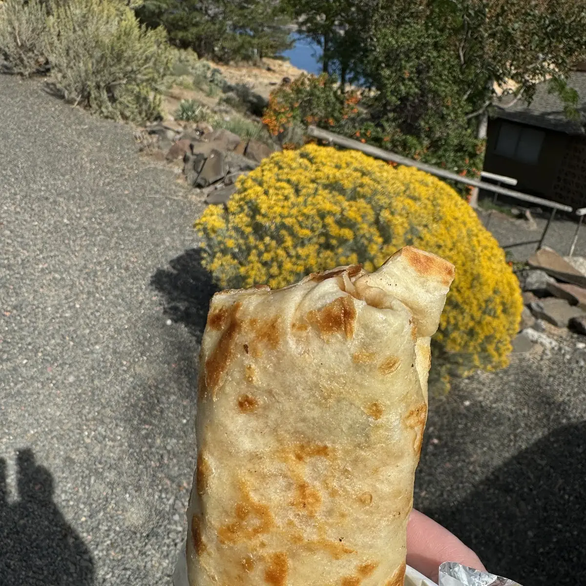 Breakfast Burrito