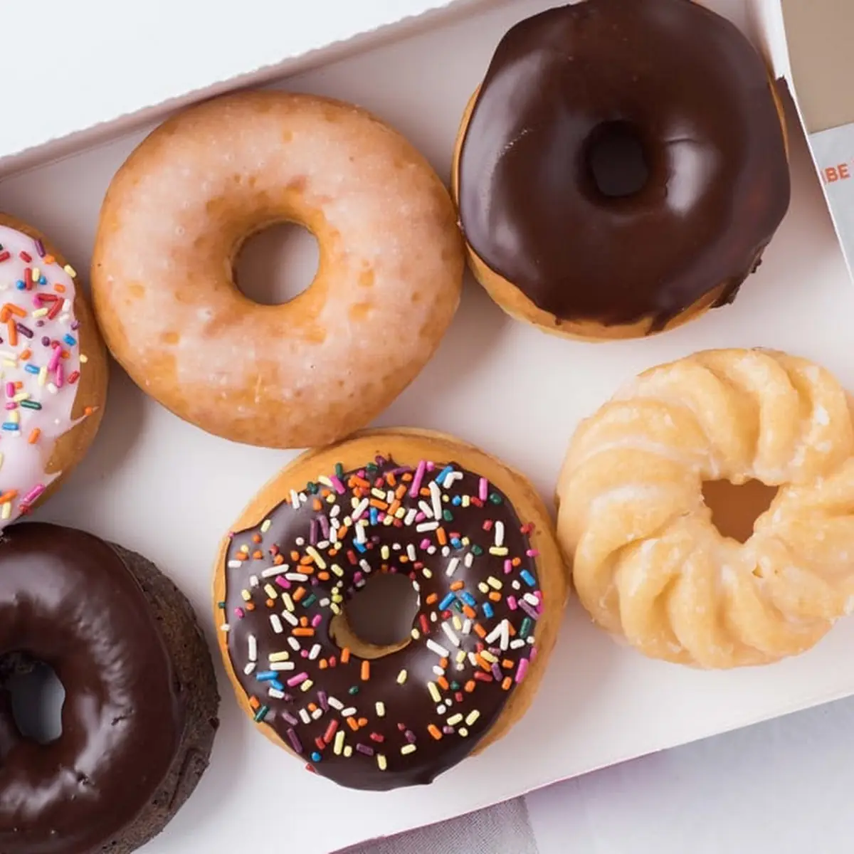 Doughnut