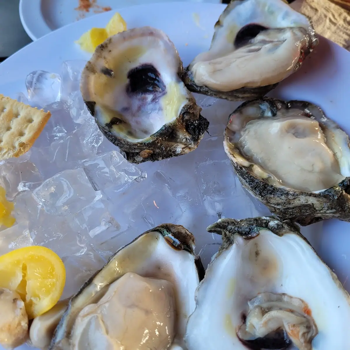 Oysters on Half Shell