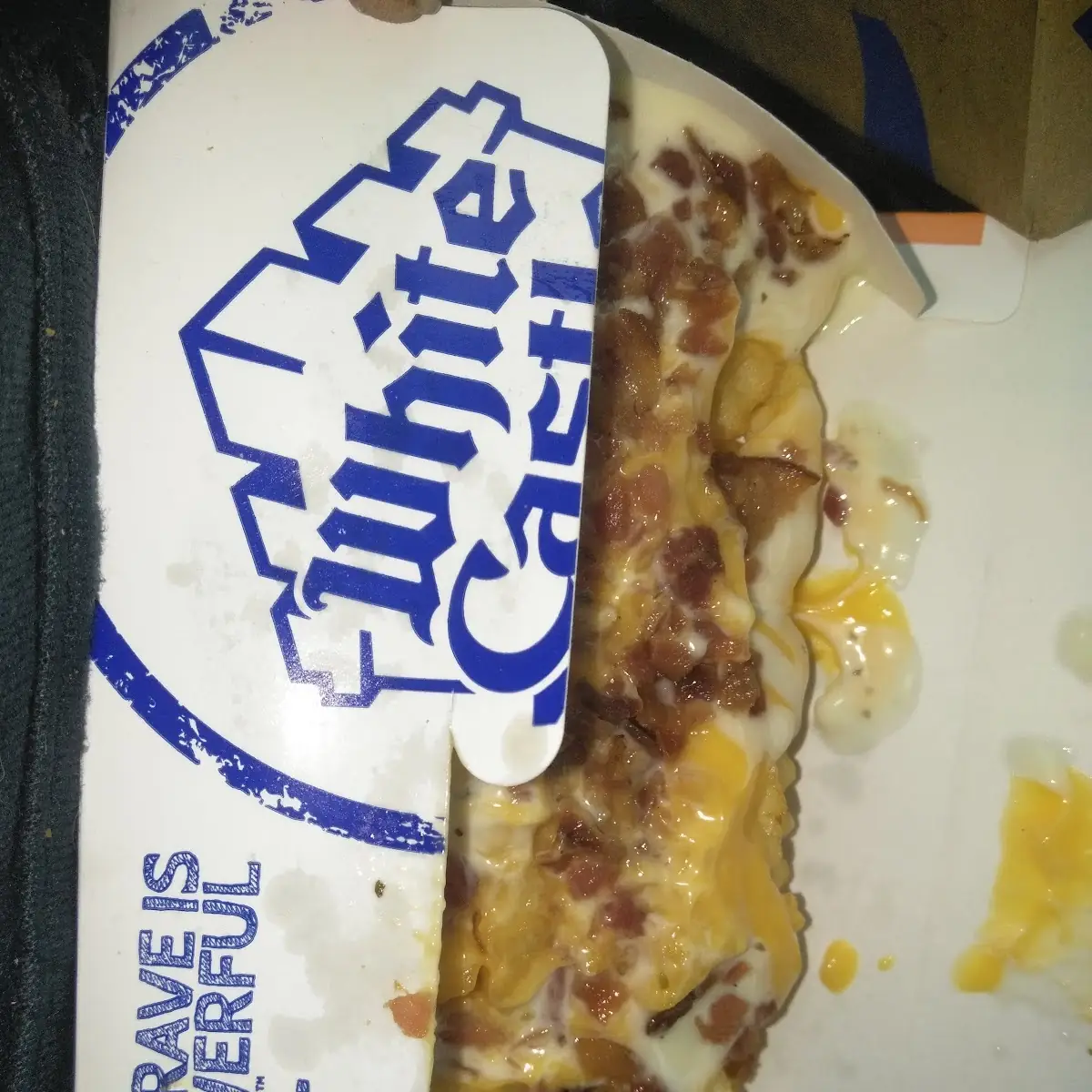 Loaded Fries with Cheese