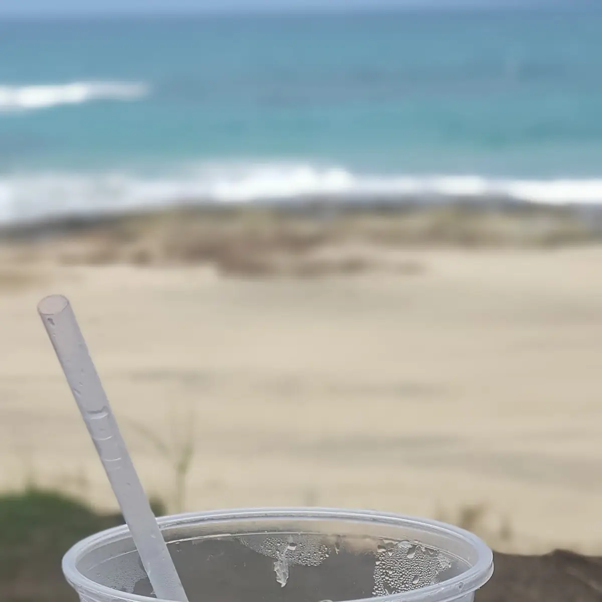 Passion Fruit Mojito