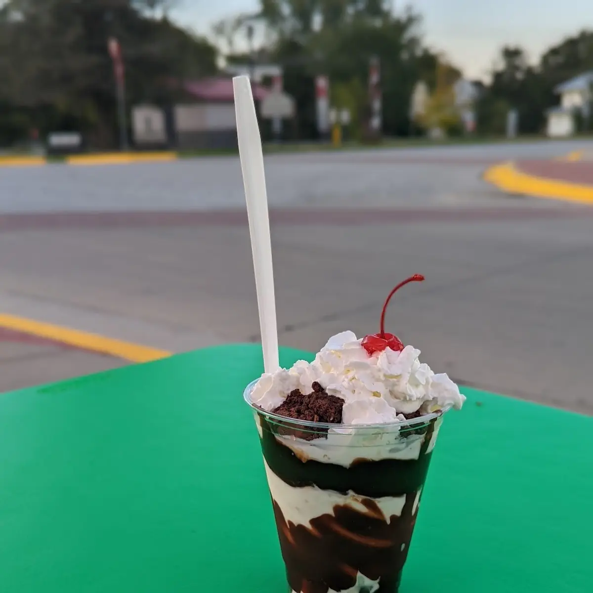 Turtle Sundae