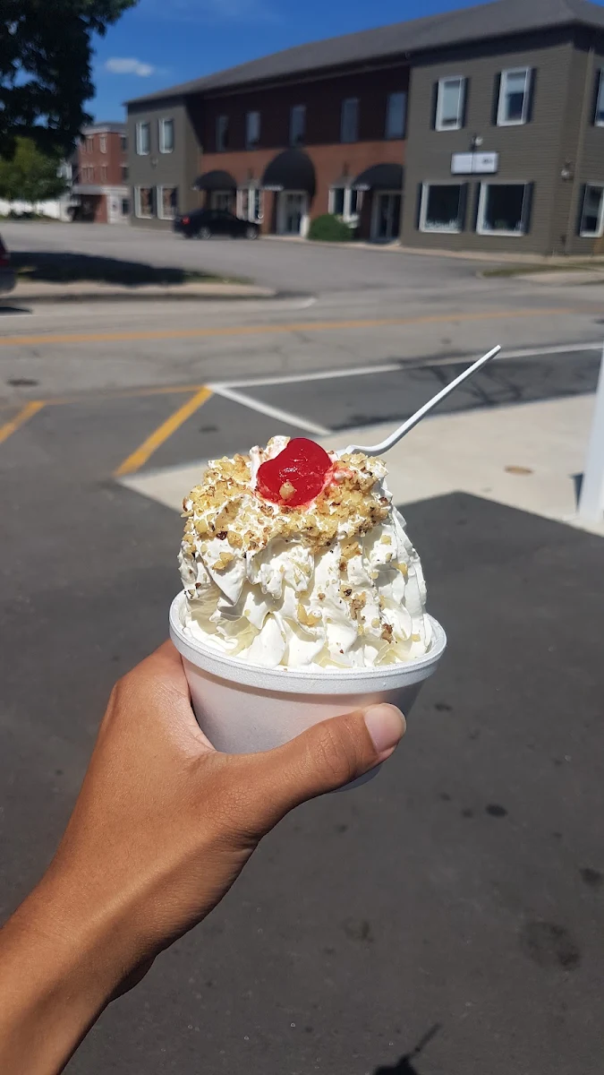 Doggie Sundae