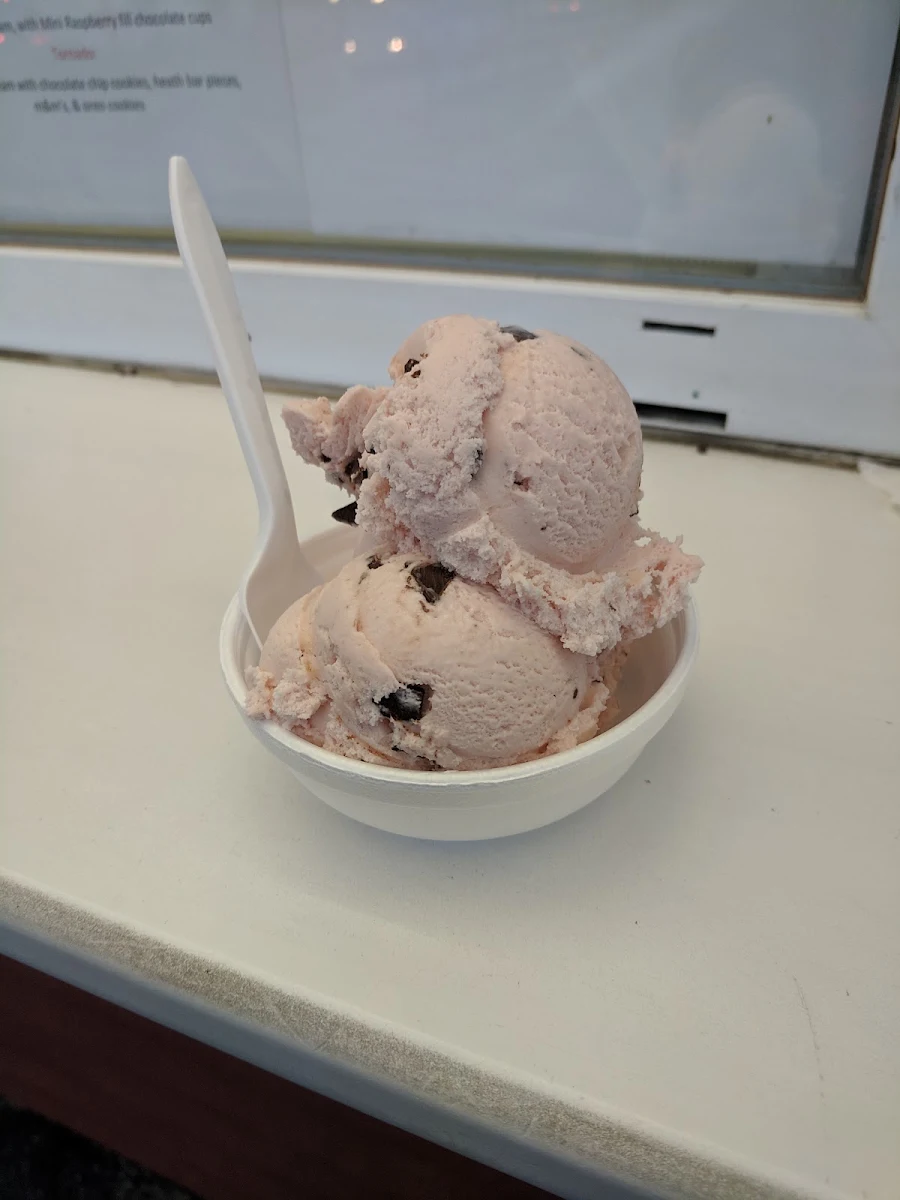 Raspberry Chocolate Chip