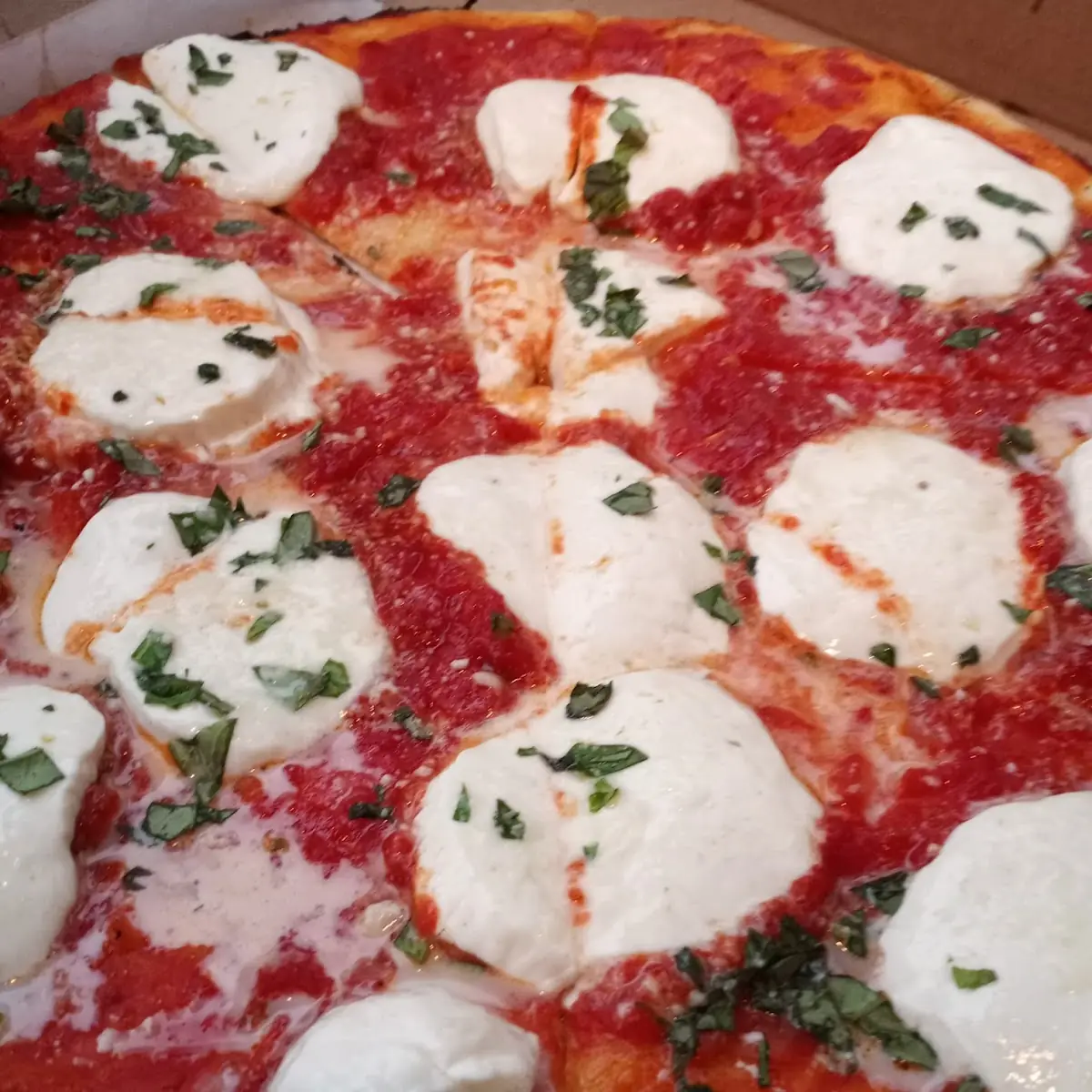 Margherita Pizza