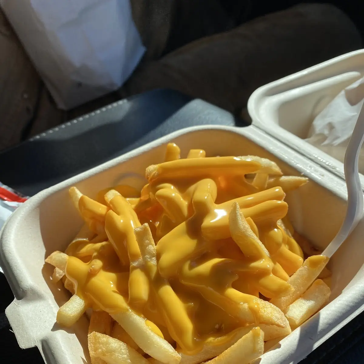 Cheese Fries