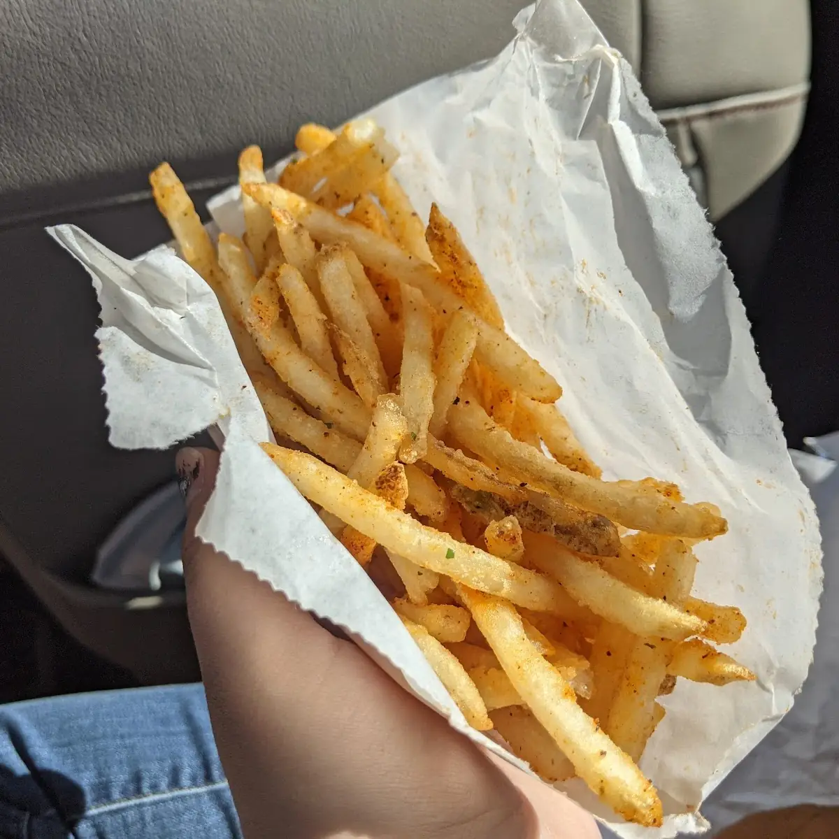 Seasoned Fries