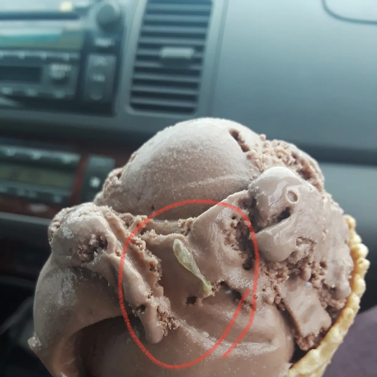 Chocolate Ice Cream