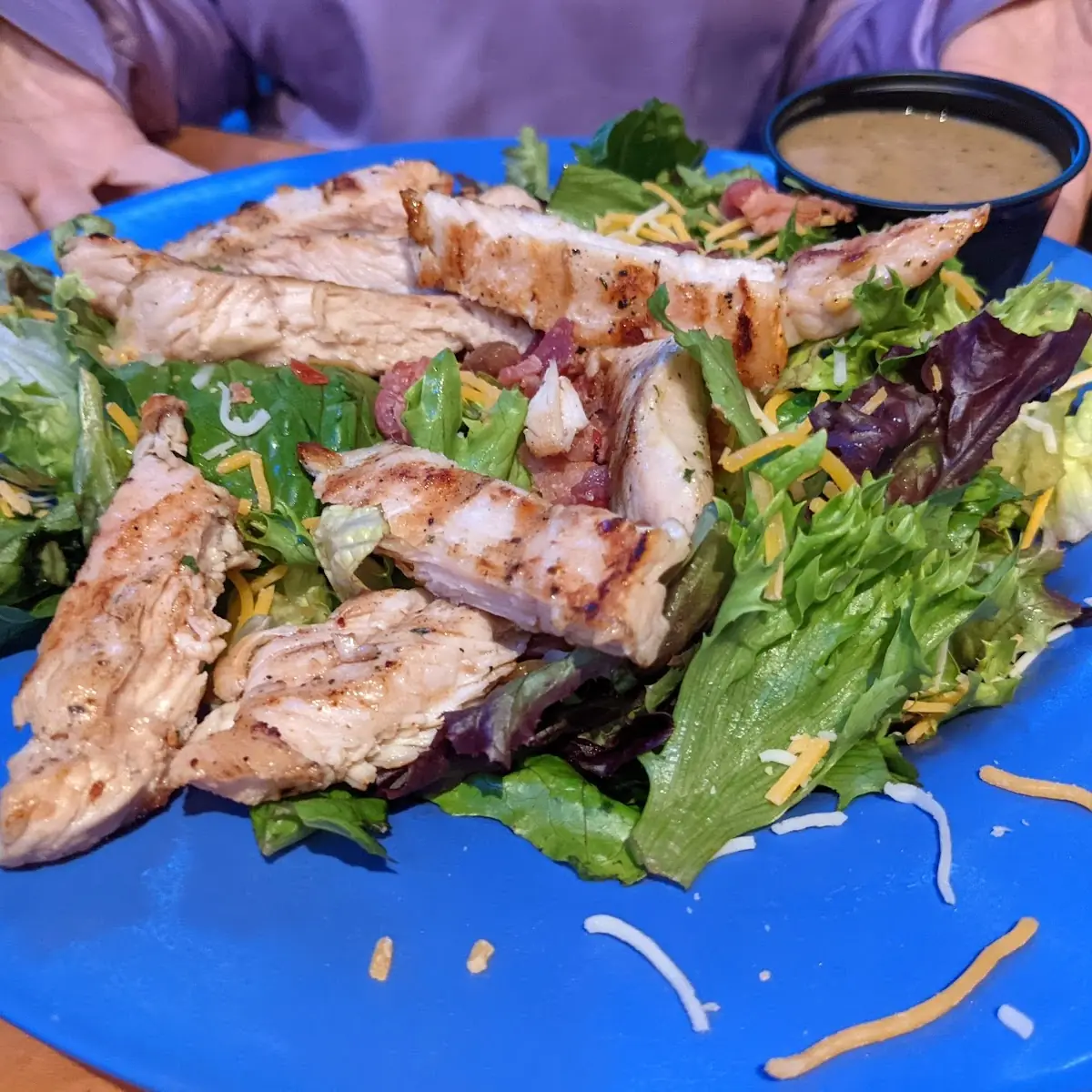 Grilled Chicken Salad
