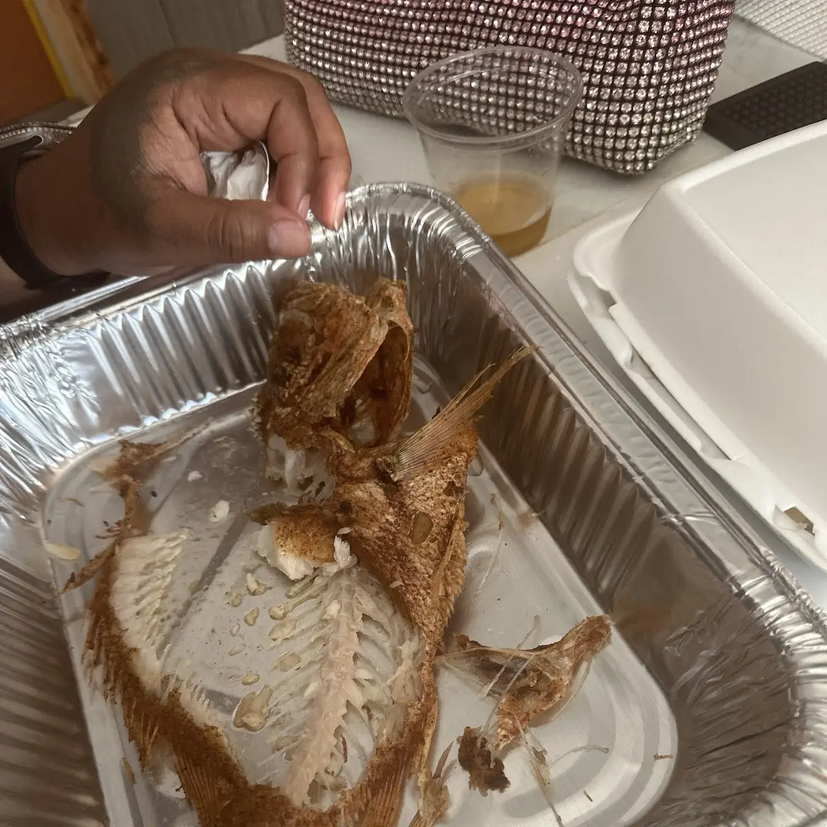 Red Snapper Fish