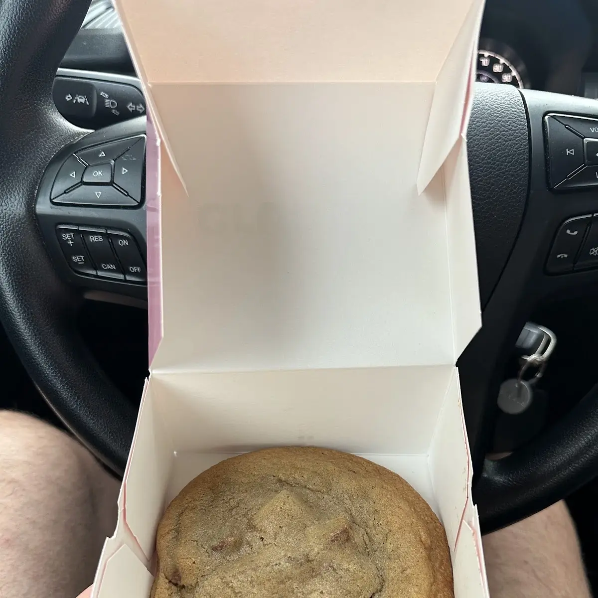 Milk Chocolate Chip Cookie