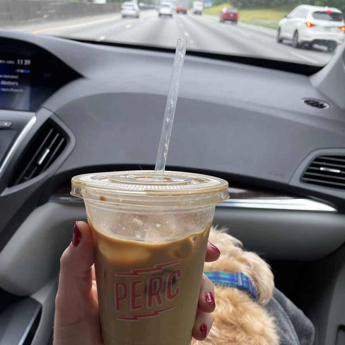 Nitro Cold Brew