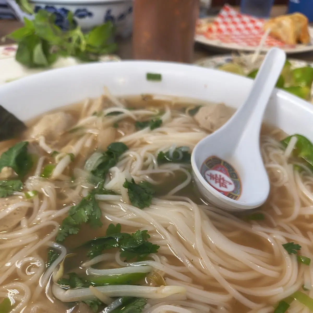 Chicken Pho