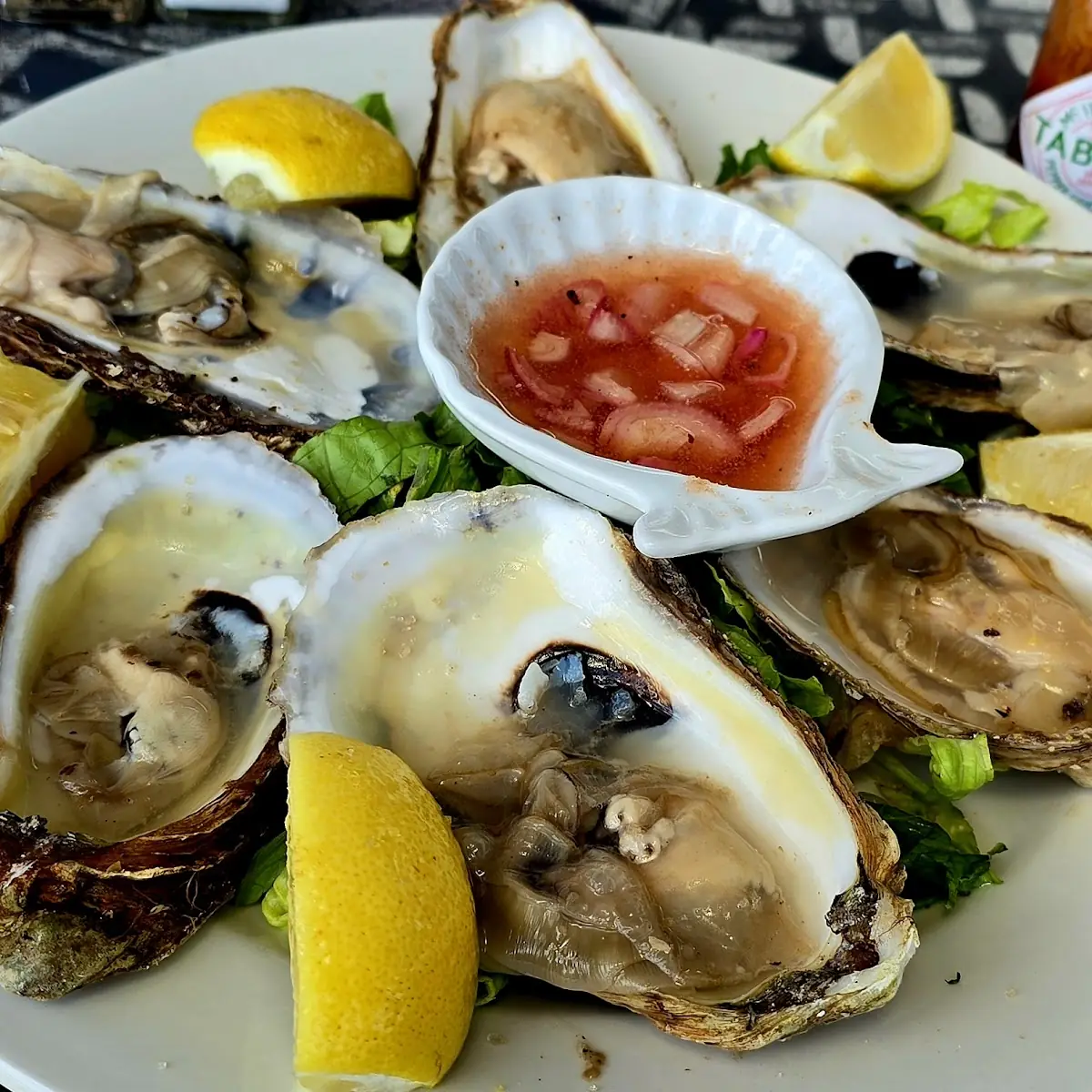 Oysters